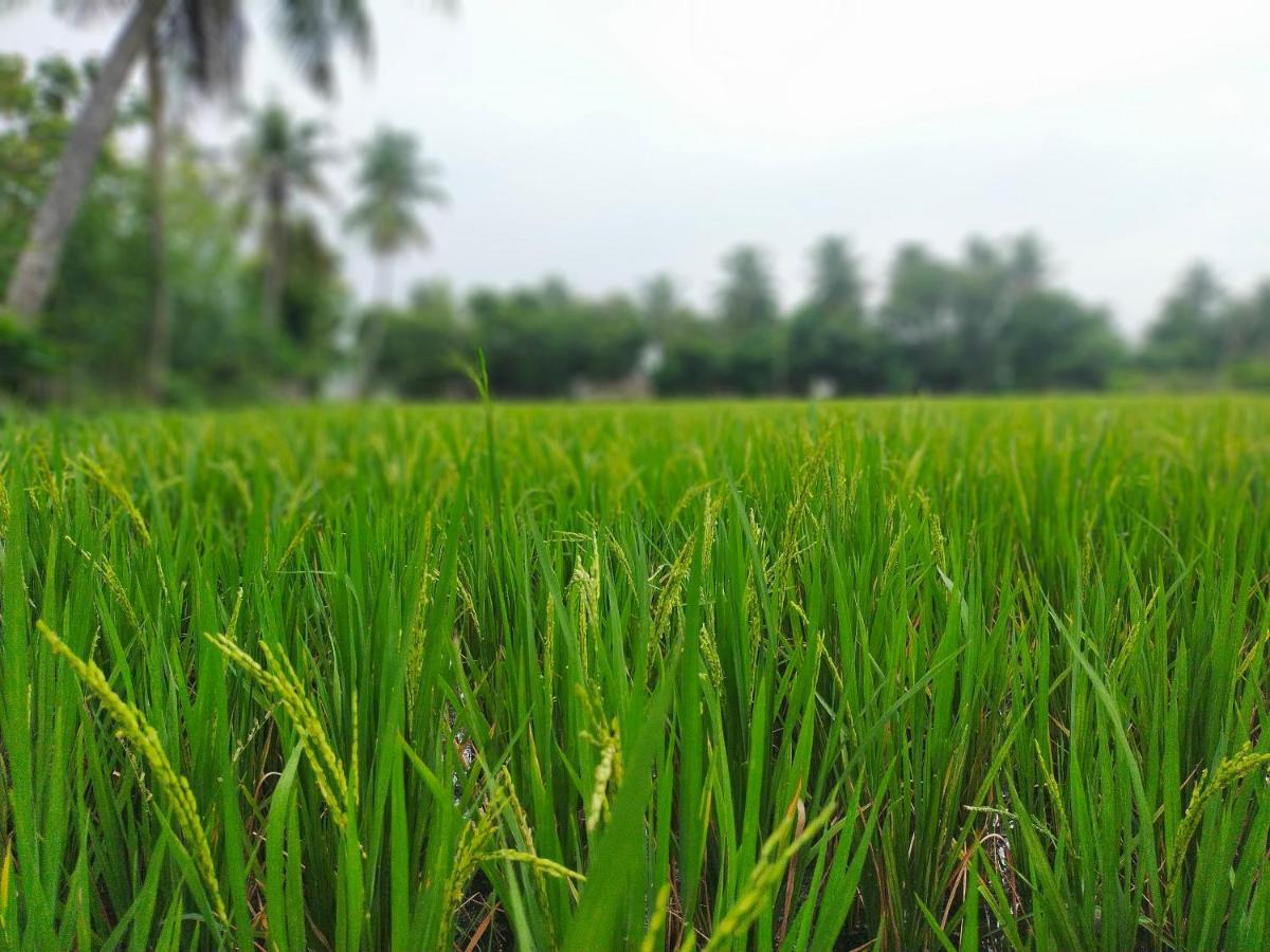 The Farm Crest, Ecr Kadallur Kūvattūr المظهر الخارجي الصورة